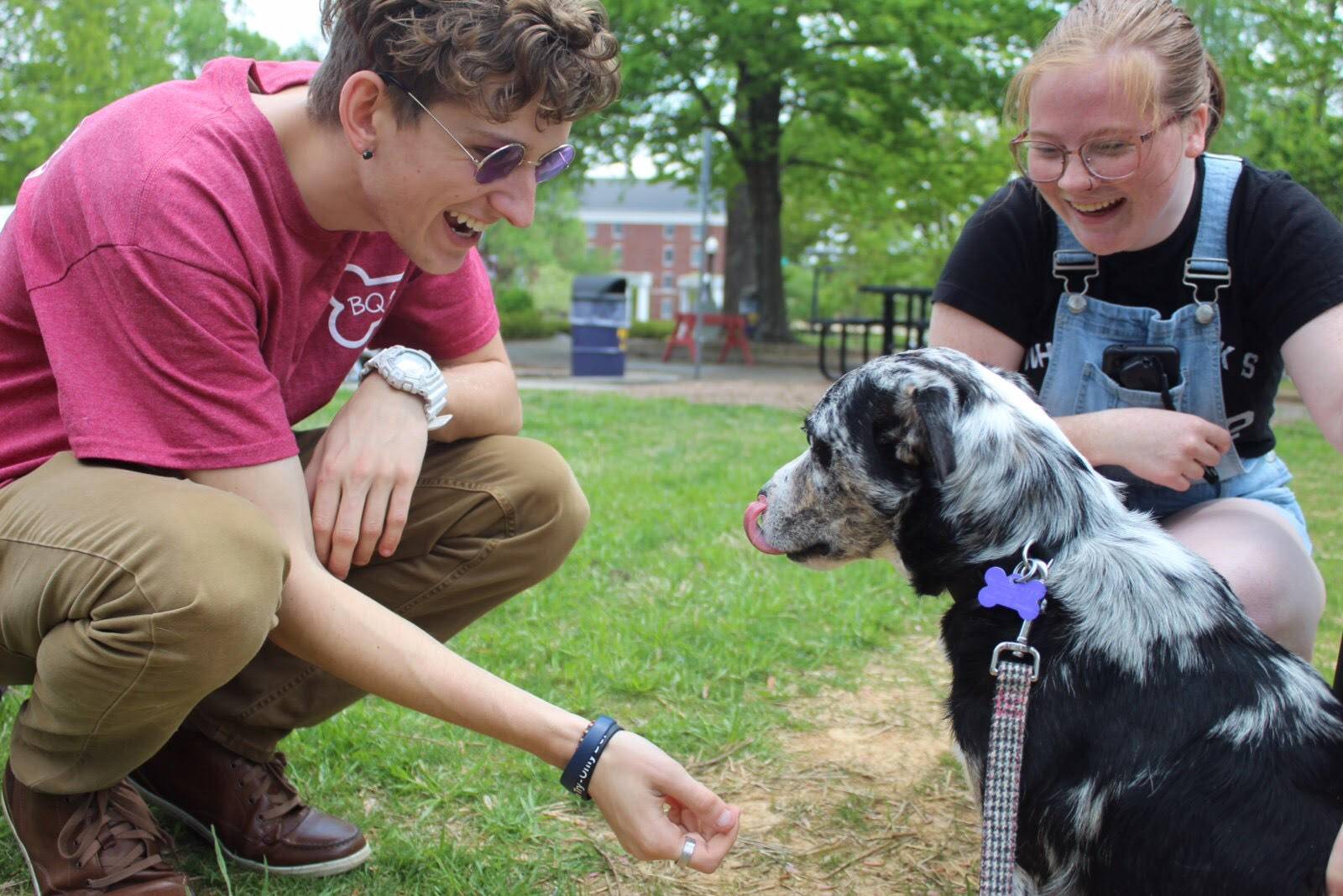 Students playing with dog