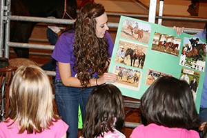 Learning about horses