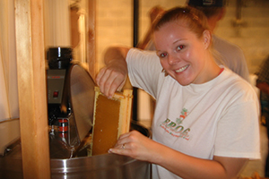 Harvesting Honey