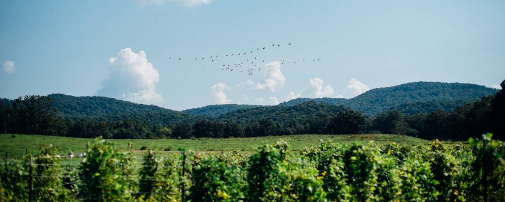 A view of the farm lands.