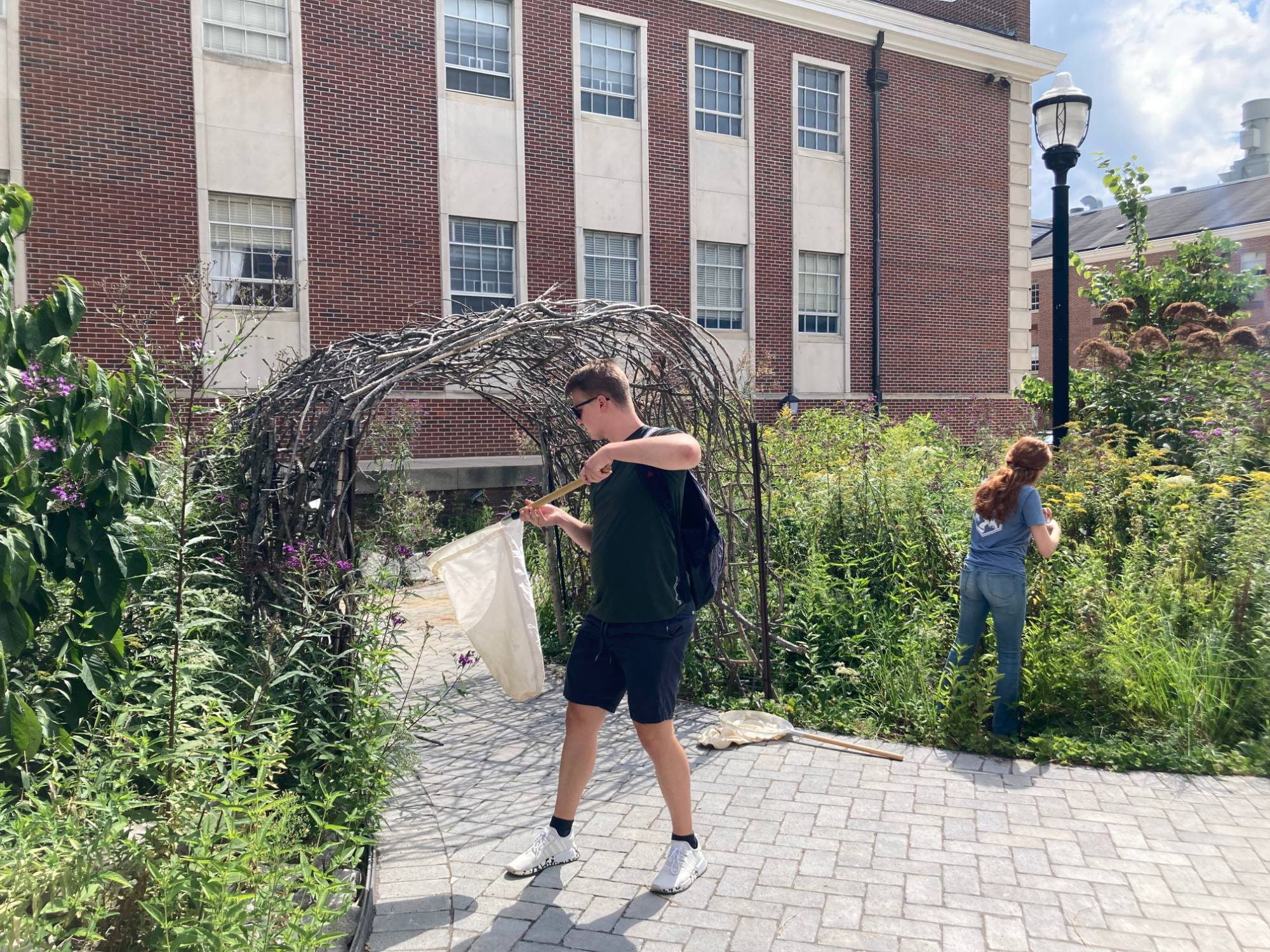 Students in the garden