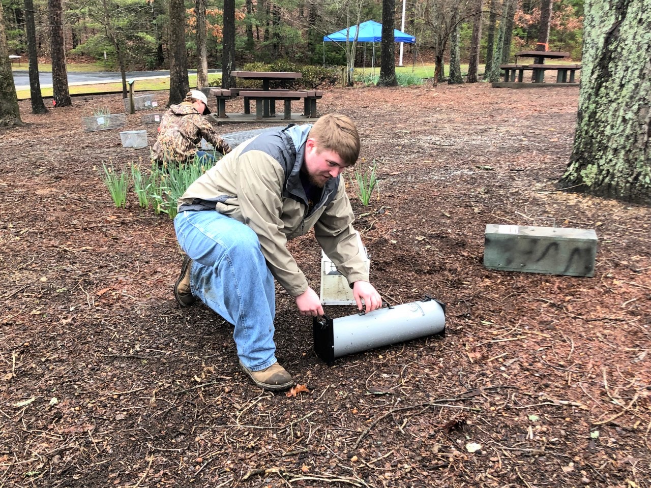 Boshears_trapping