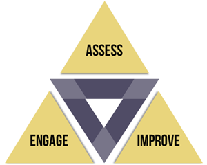 Assess Engage Improve