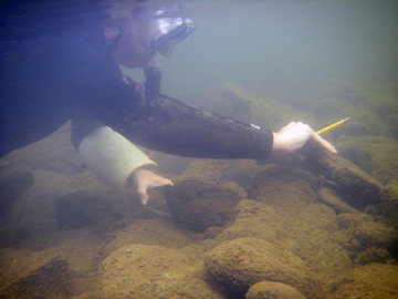 Underwater person