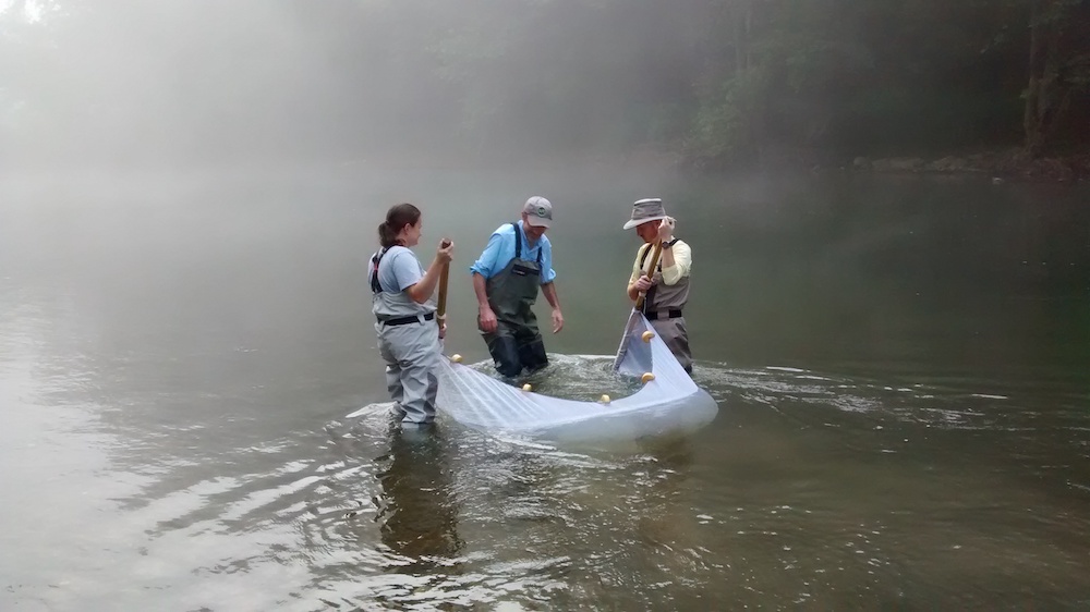 Students sampling for endangered fish