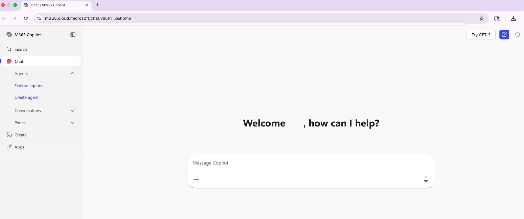 screenshot of copilot chat. 