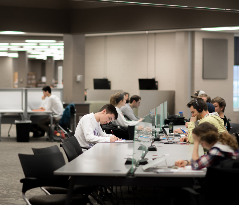 Students studying in the library