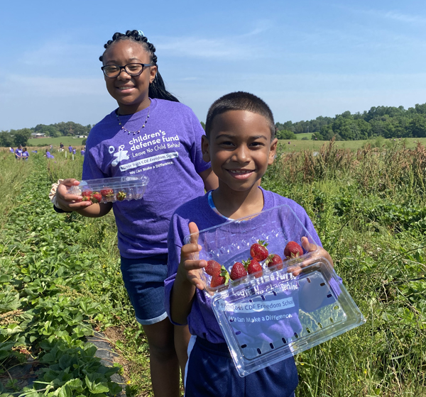 Enjoying a field trip to the strawberry farm.