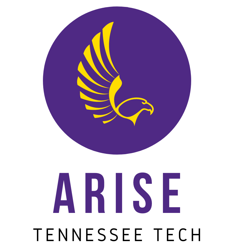 ARISE logo