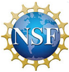 nsf graphic