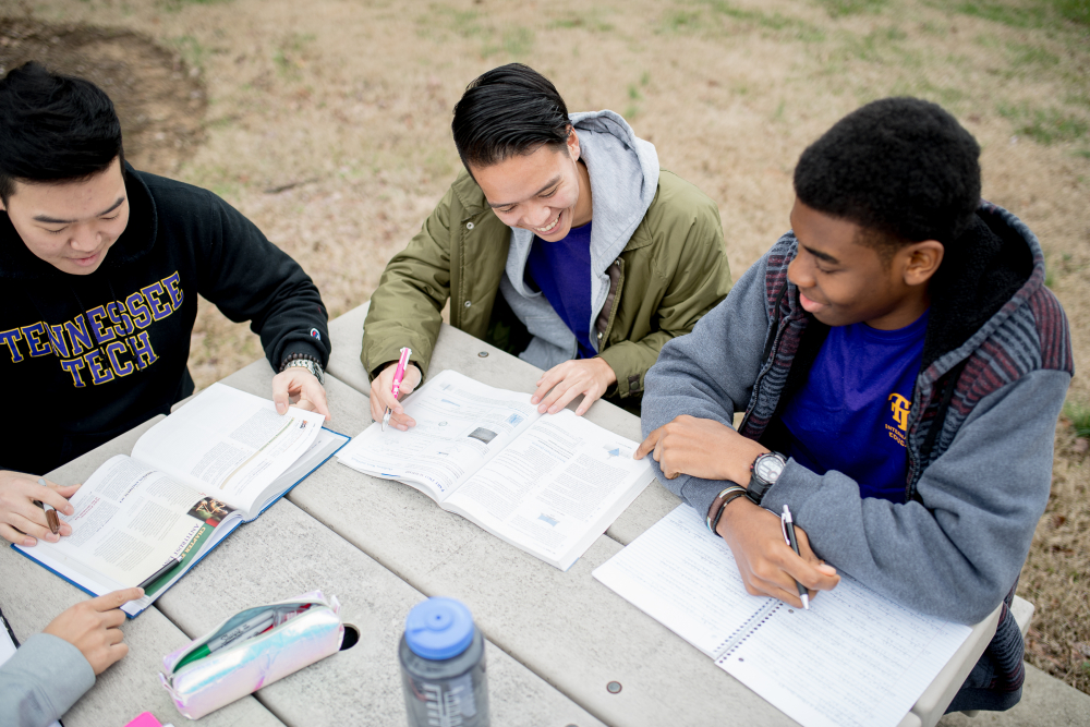 Students studying