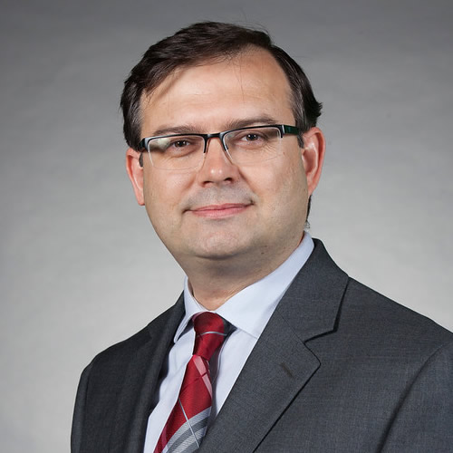 Image of Nezih Pala, Ph.D.