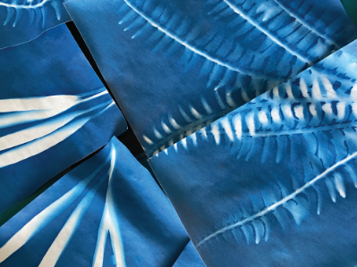 Cyanotype fabric