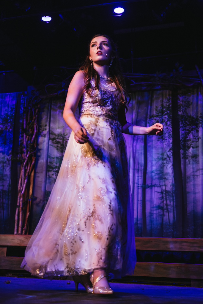 Into the Woods, Cinderella 