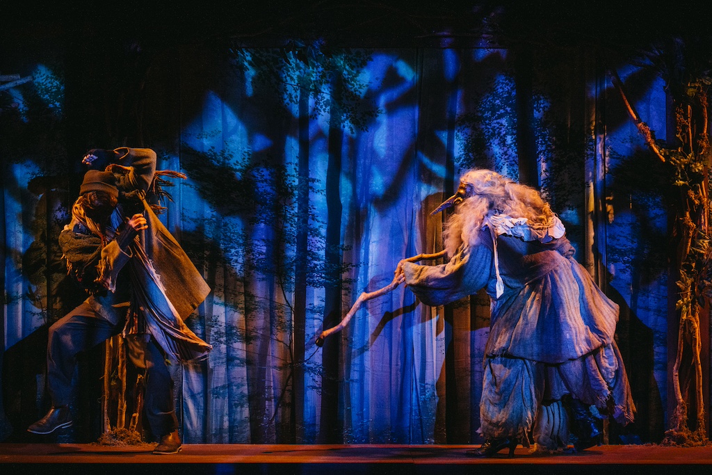 Into the Woods, the Mysterious man and the Witch in the woods