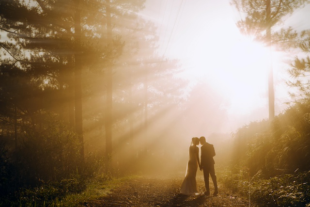 Into the Woods