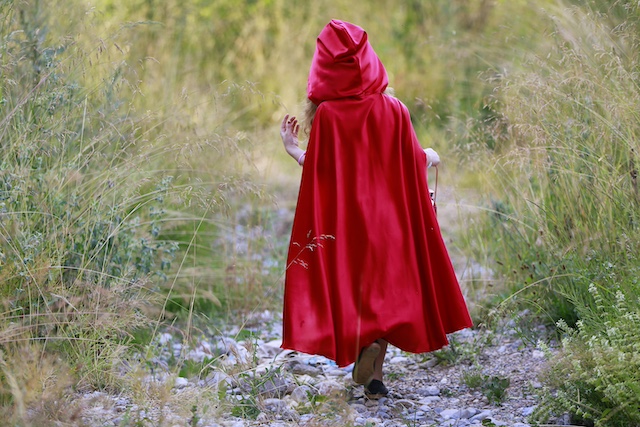 Into The Woods 