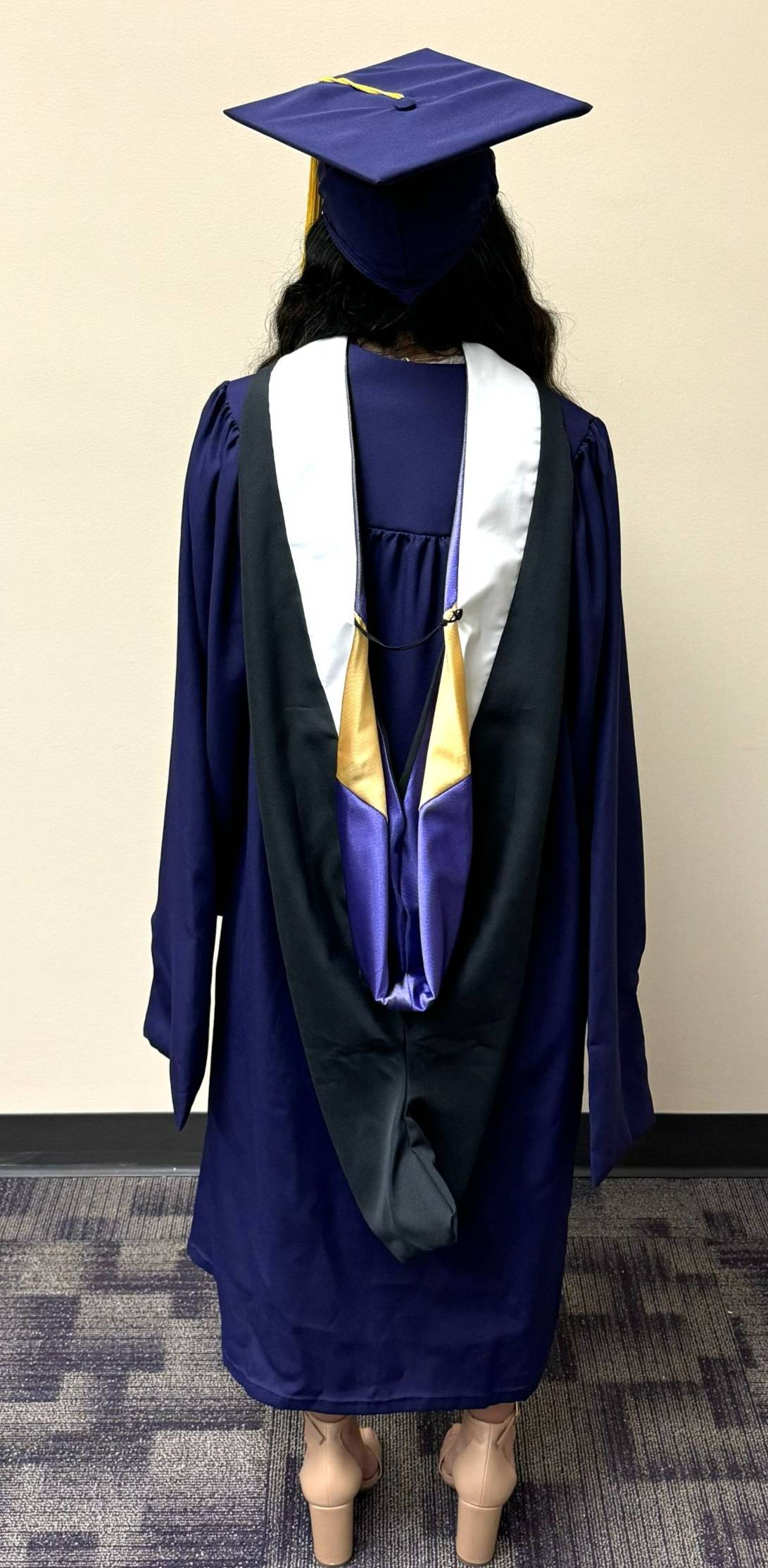 Master gown with hood from back Master gown with hood from back