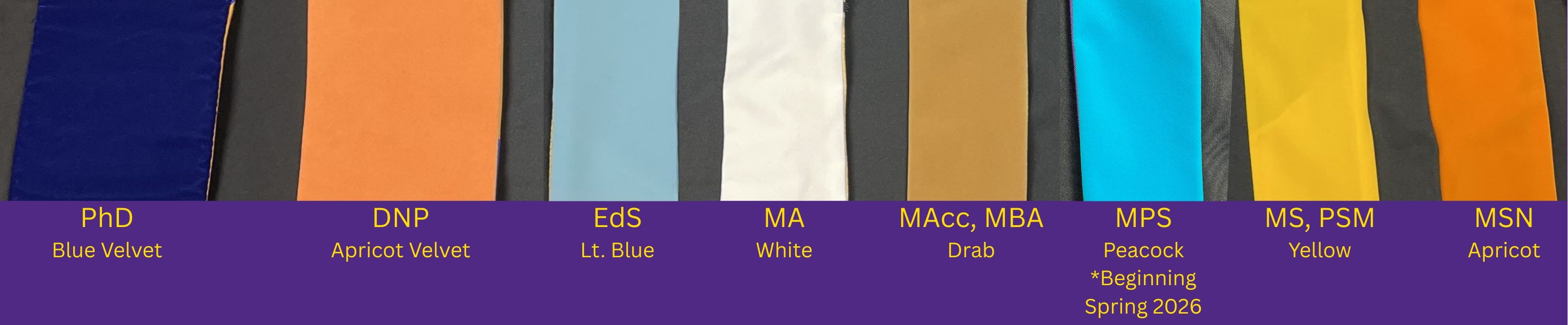 Graduate hood colors:PhD-Blue Velvet, DNP-Apricot Velvet, MA-white, MAcc/MBA-drab, MPS/EdS-Light blue, MS/PSM-yellow, MSN-apricot