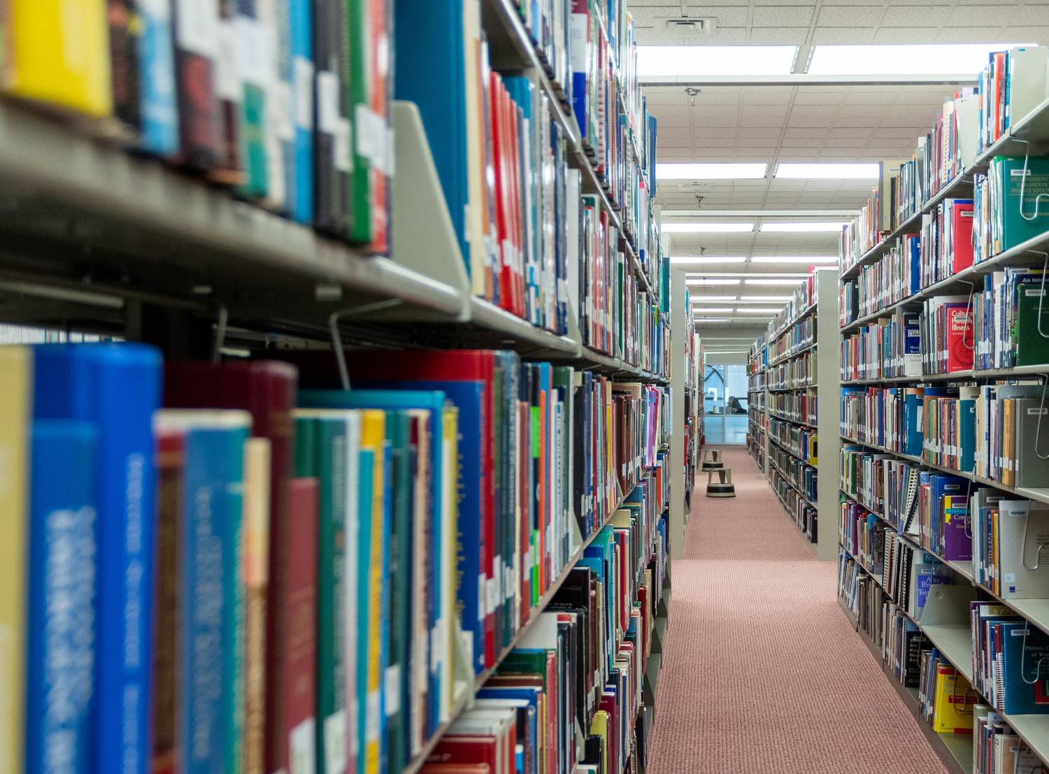 shelves of books in a library