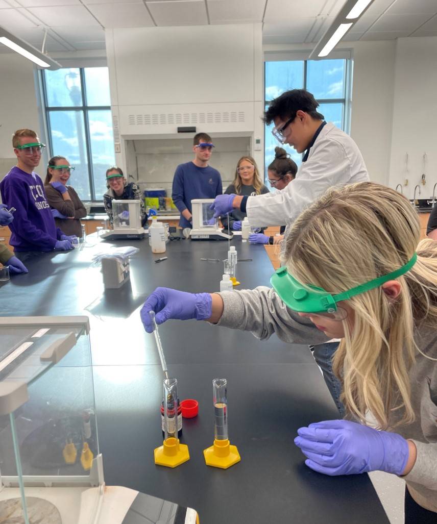 Honors student in the lab
