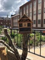 an insect hotel at the Native Plant garden