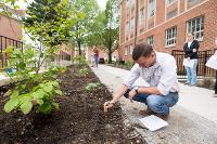 labeling the Native Plant garden