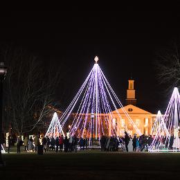 View of the holiday trees lite up