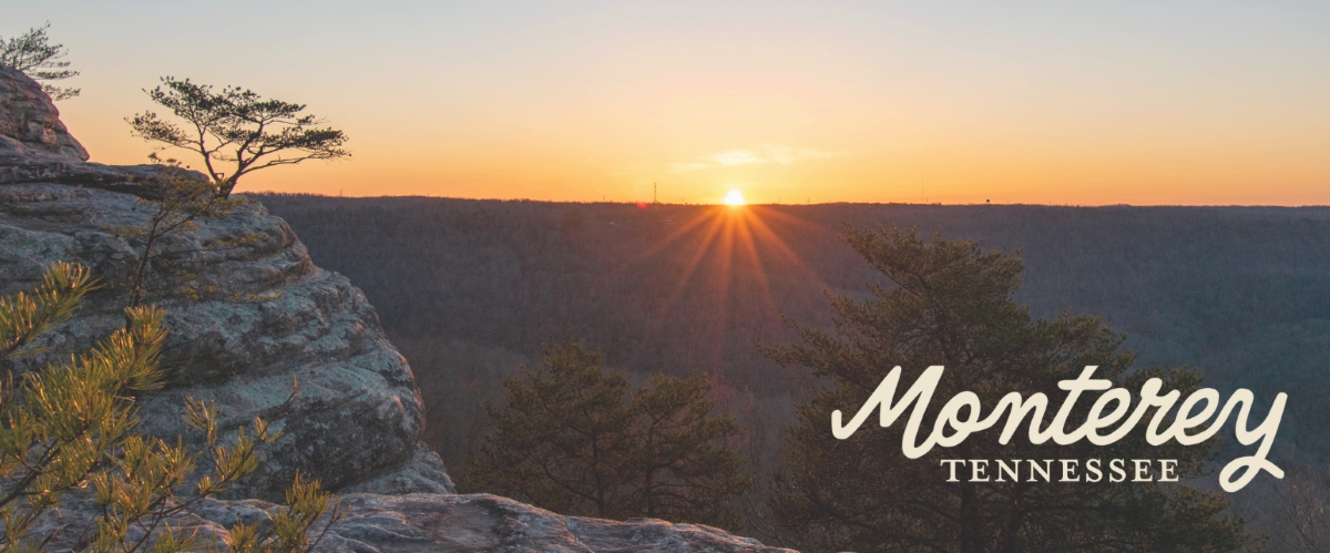 image of bee rock in monterey with the tourism logo created by a tn tech student