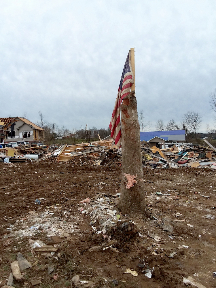 Pin oak tree on Lauren Neal's property after March 2020 tornados