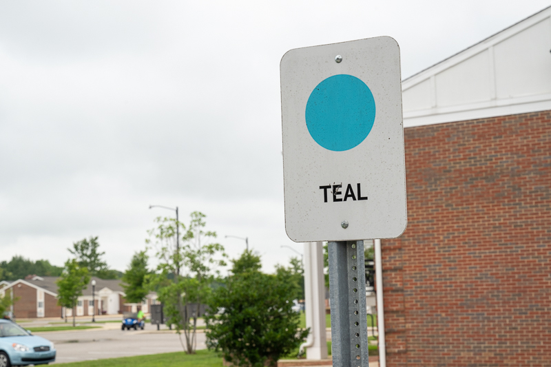 teal lot