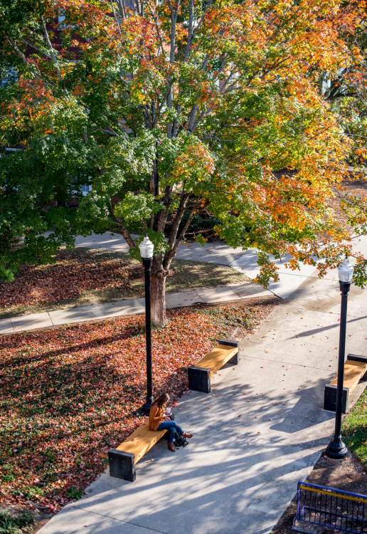 campus candid student reading on bench