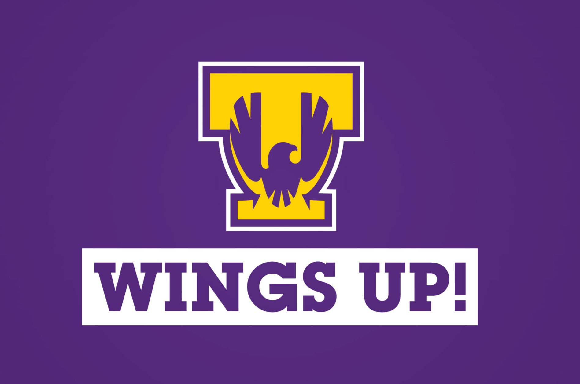 WingsUp100