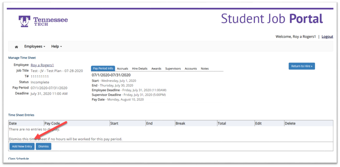 start new timesheet entry screen