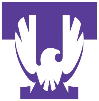 Iamge of Purple Eagle Logo