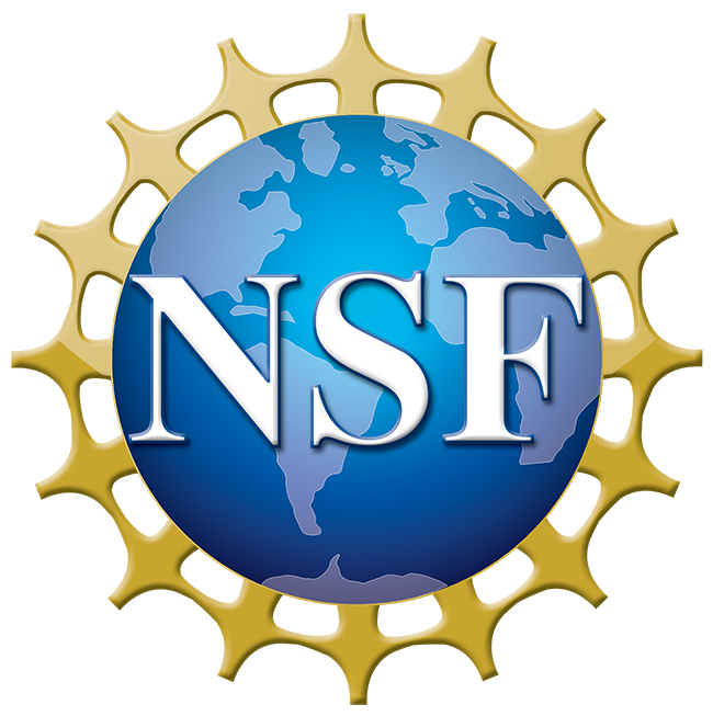 NSF logo