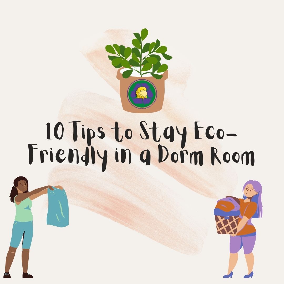 How to Stay Eco-Friendly in a Dorm Room