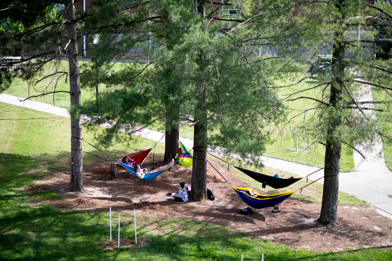 Students in hammocks.
