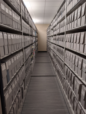 A row of archive shelves