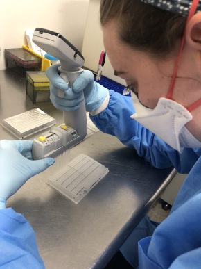 photo of woman in a lab using an instrument on a sample tray