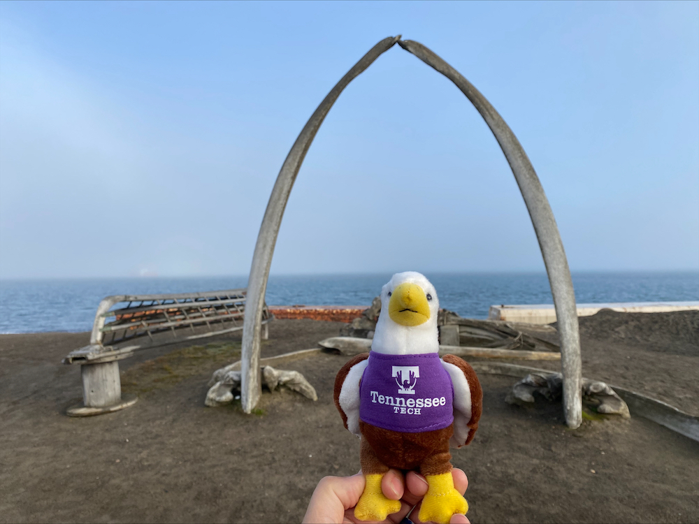 A little stuffed Tech eagle in front of a whale bone arch