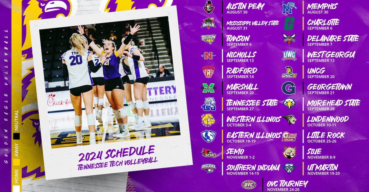 Volleyball Schedule Infographic