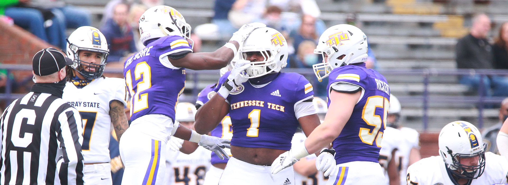 A photo of Tennessee Tech football players on the field.