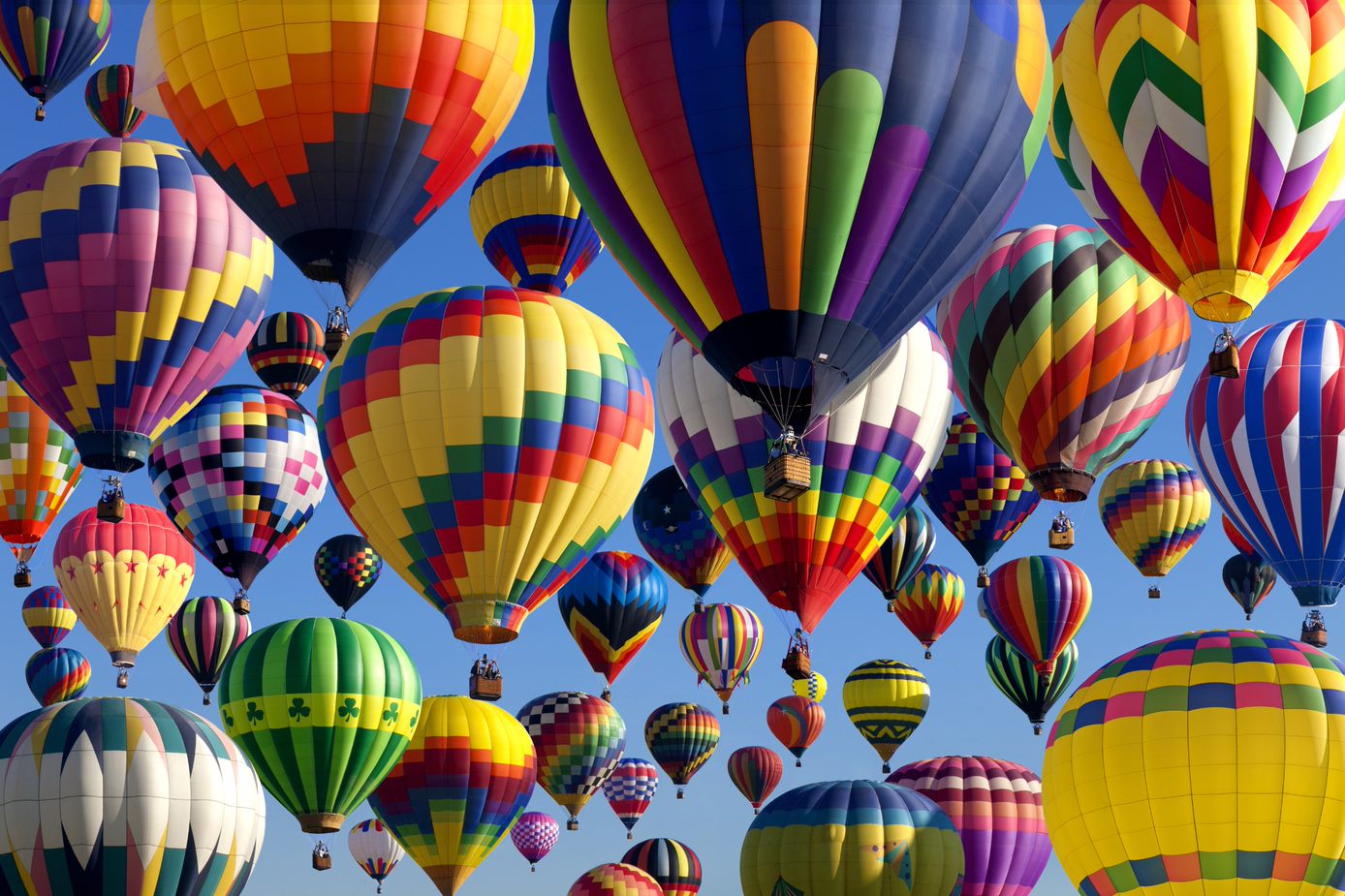 Colorful hot air balloons