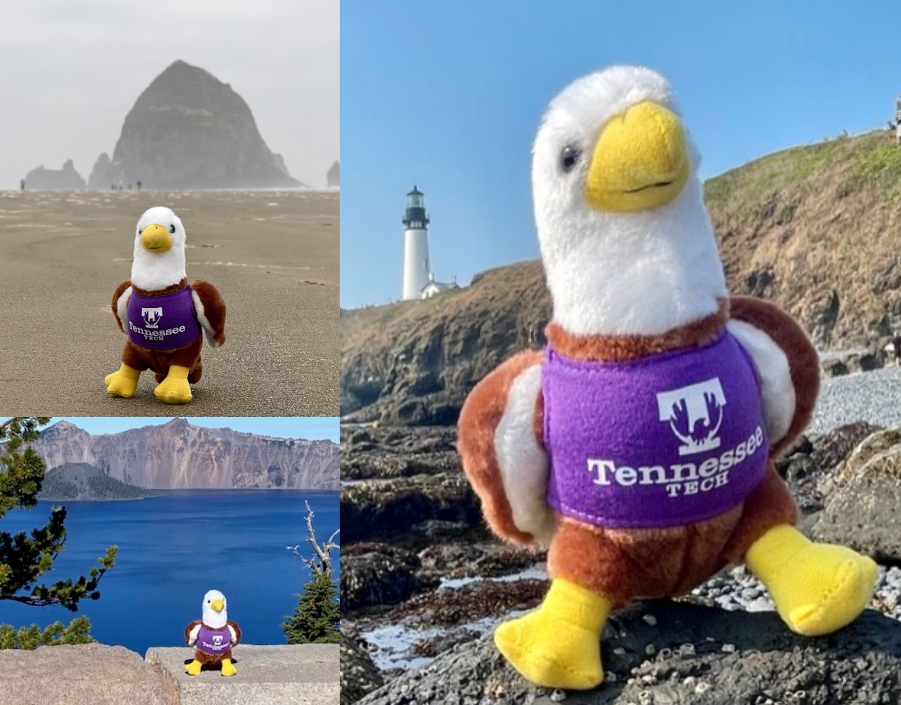 A little stuffed eagle in front of landmarks in Oregon.