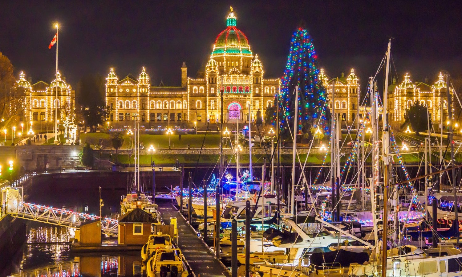 Christmas lights on building lit at night