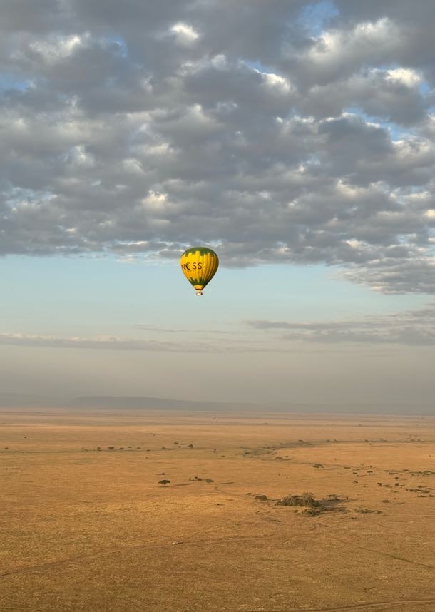 hot air balloon