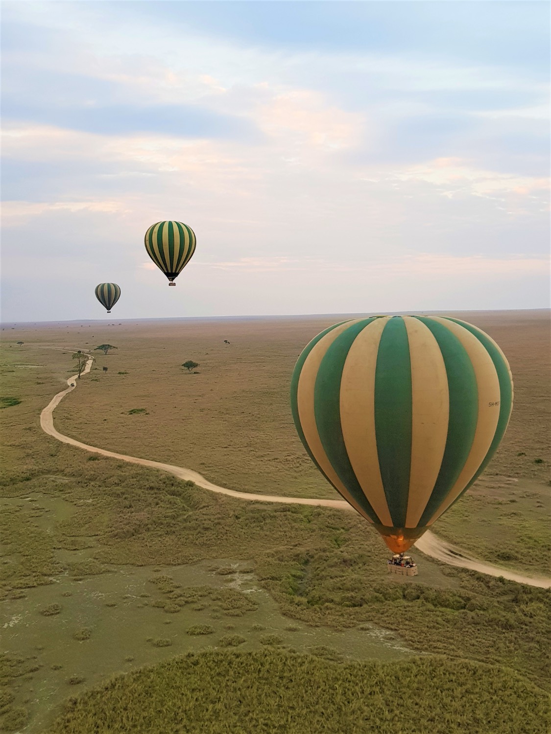 hot air baloons flying over field