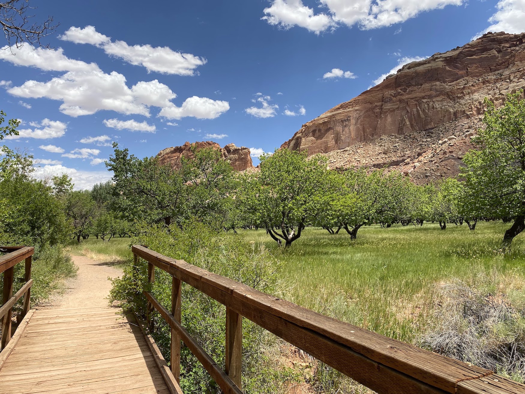 A scenic walkway on a wooden bridge with the reef of yellow sandstone in the distance