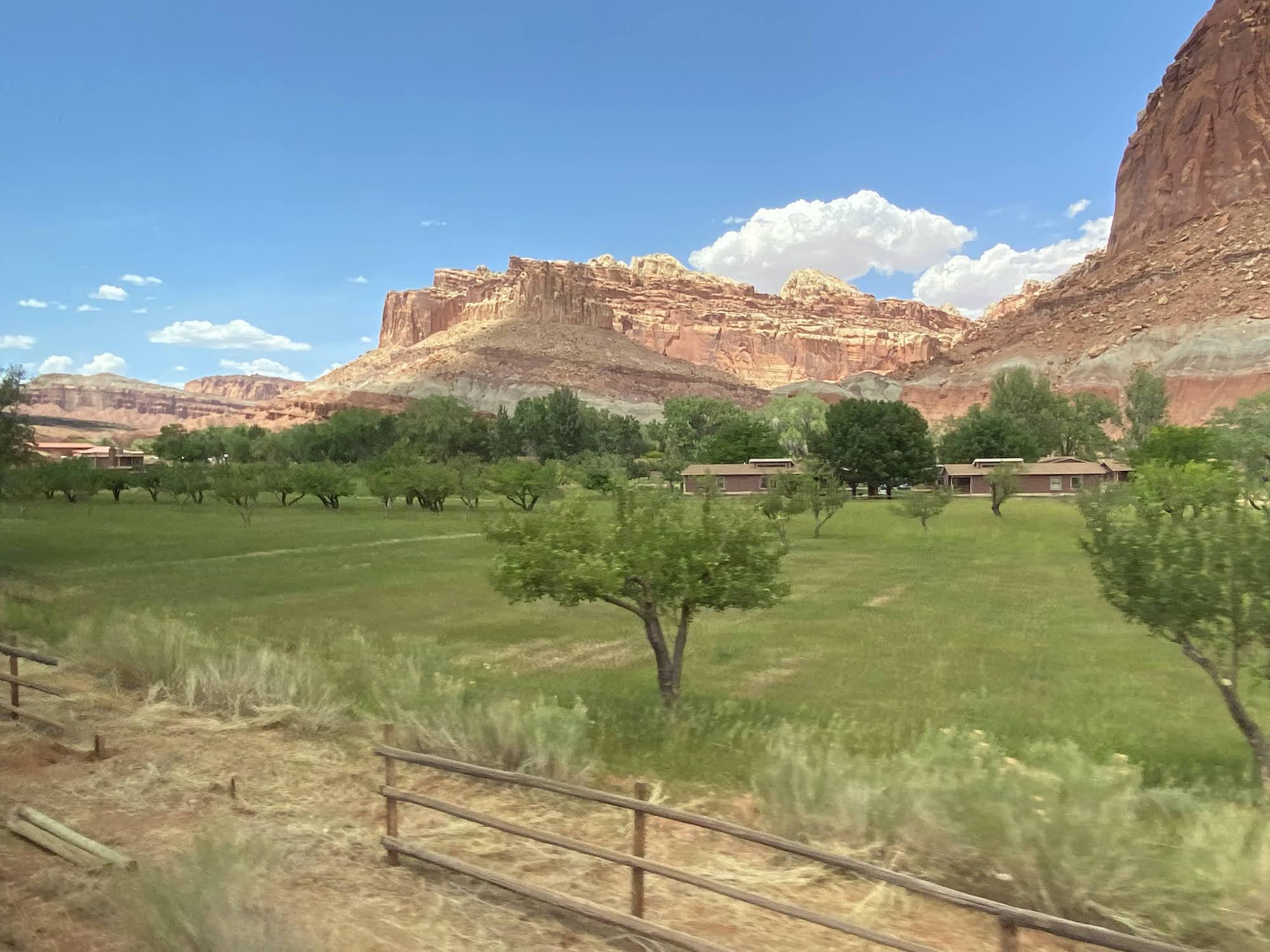 yellow sandstone rock cliffs surround a tree-filled valley